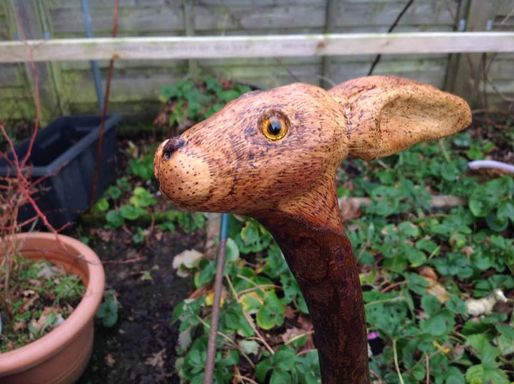 Plum Hare