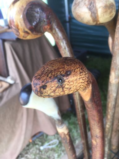 Hazel Snake